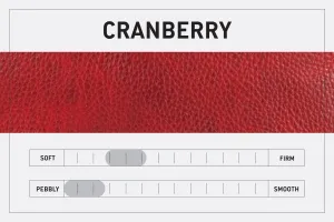 CELESTE LEATHER HOBO BAG - CRANBERRY