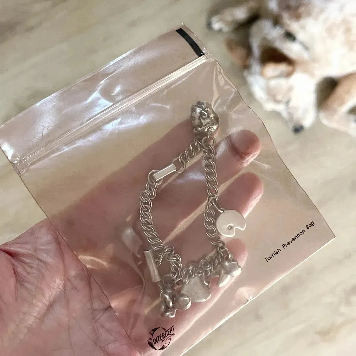 Intercept™ 4in x 4in Anti-Tarnish Plastic Bag