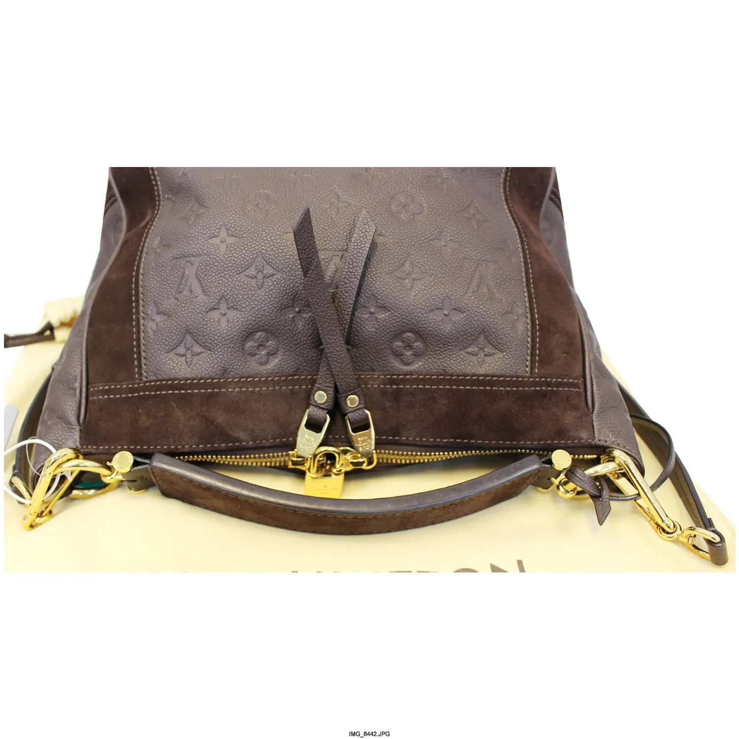 LOUIS VUITTON Audacieuse PM Terre Empreinte Leather Shoulder Bag