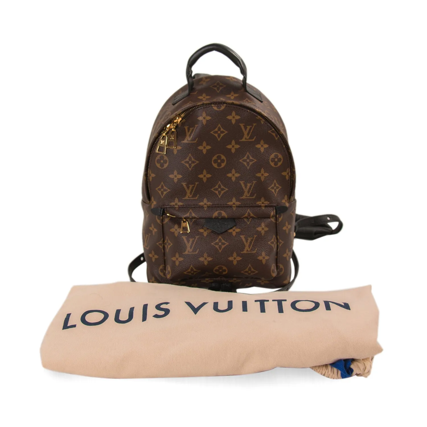 Louis Vuitton Palm Springs Backpack PM