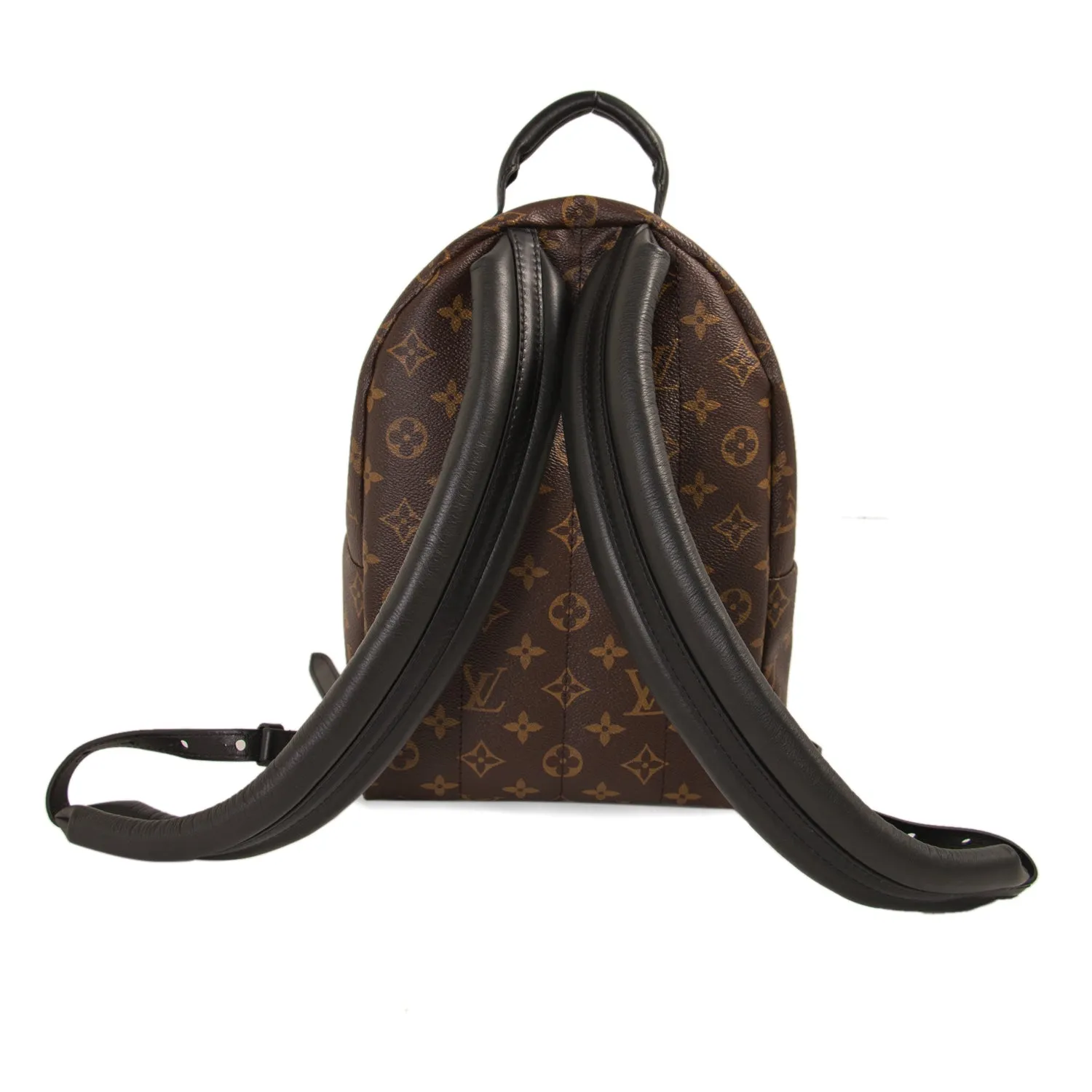 Louis Vuitton Palm Springs Backpack PM