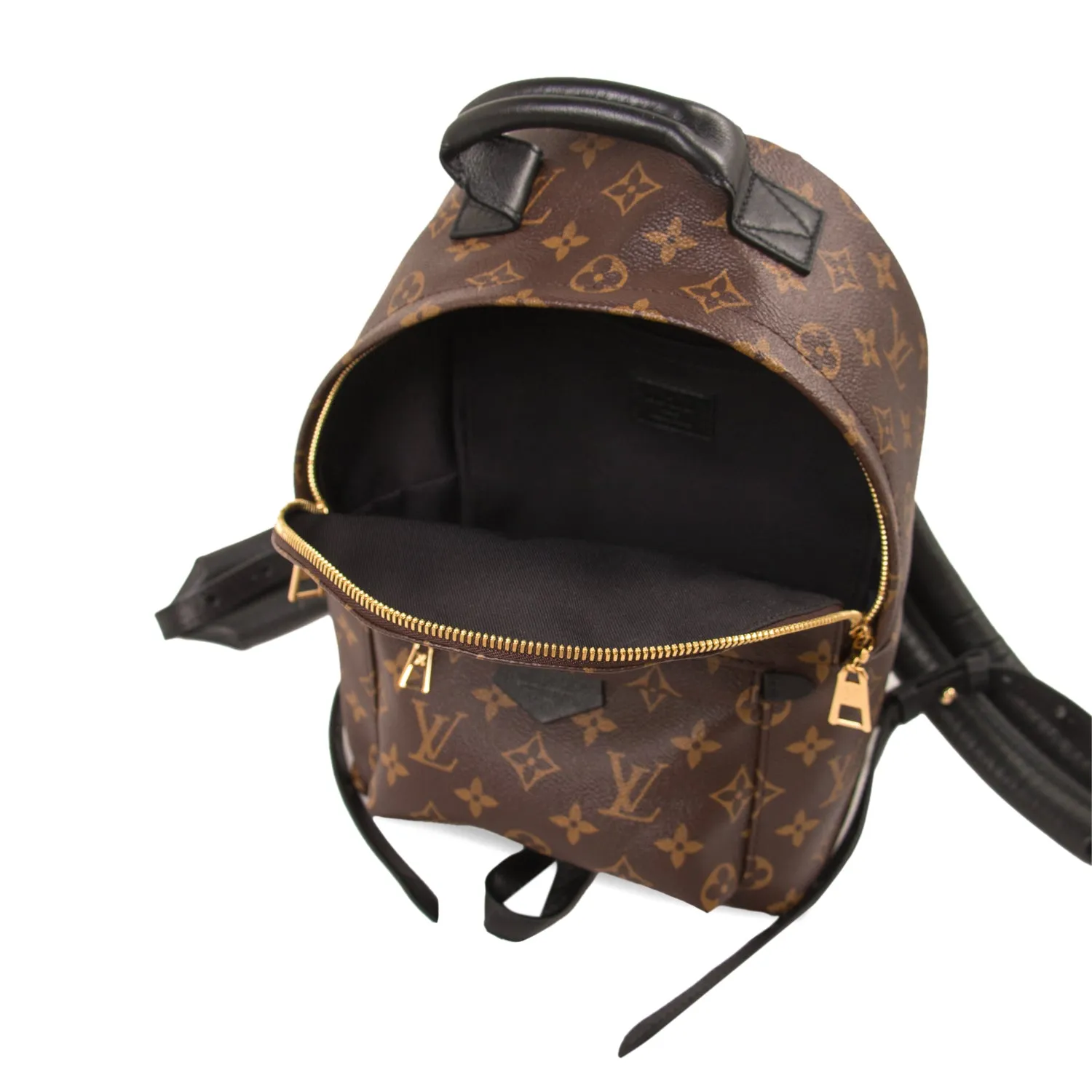 Louis Vuitton Palm Springs Backpack PM