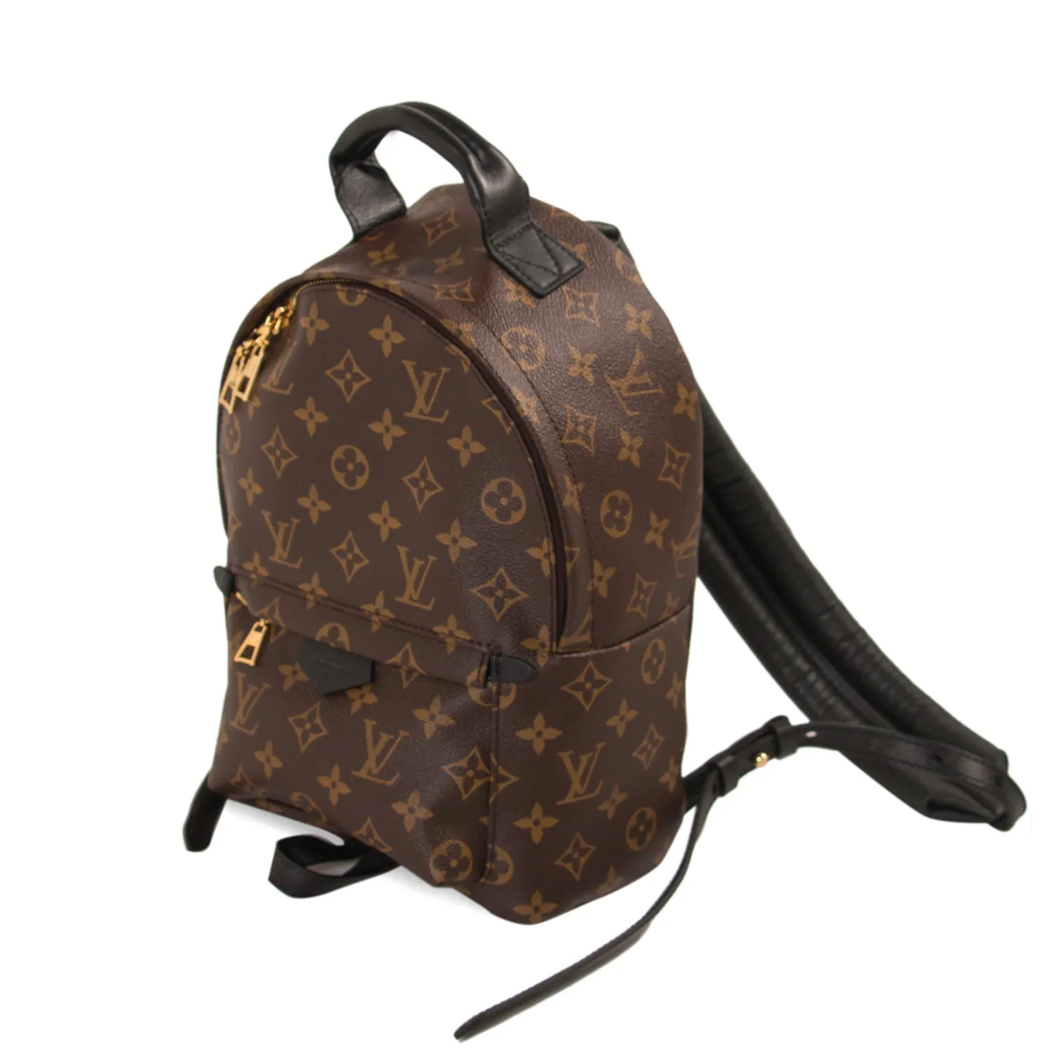 Louis Vuitton Palm Springs Backpack PM