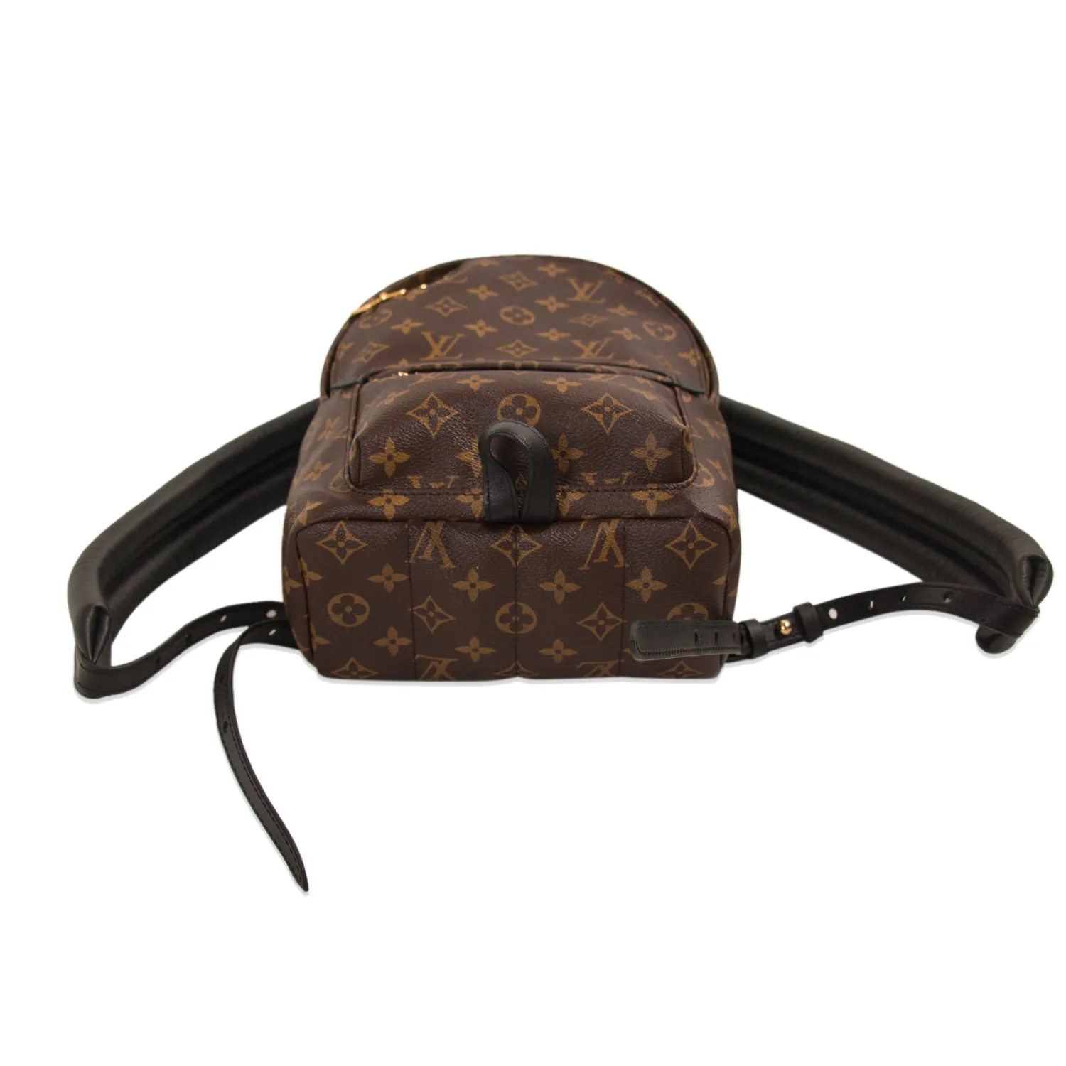 Louis Vuitton Palm Springs Backpack PM