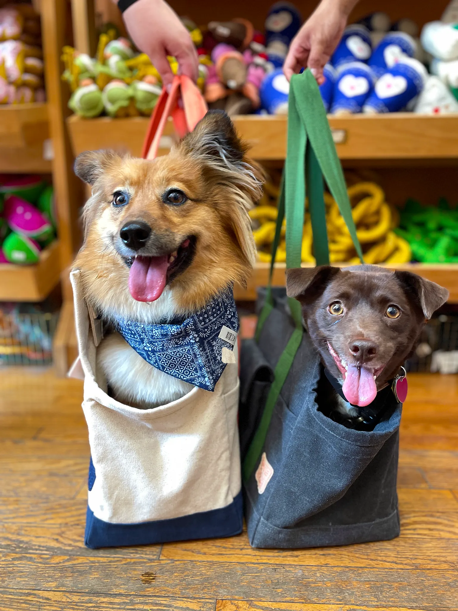 Miles Pet Carrier Bag