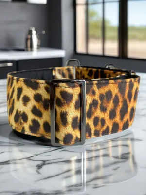 On trend leopard print collar greyhound martingale soft cotton fabric