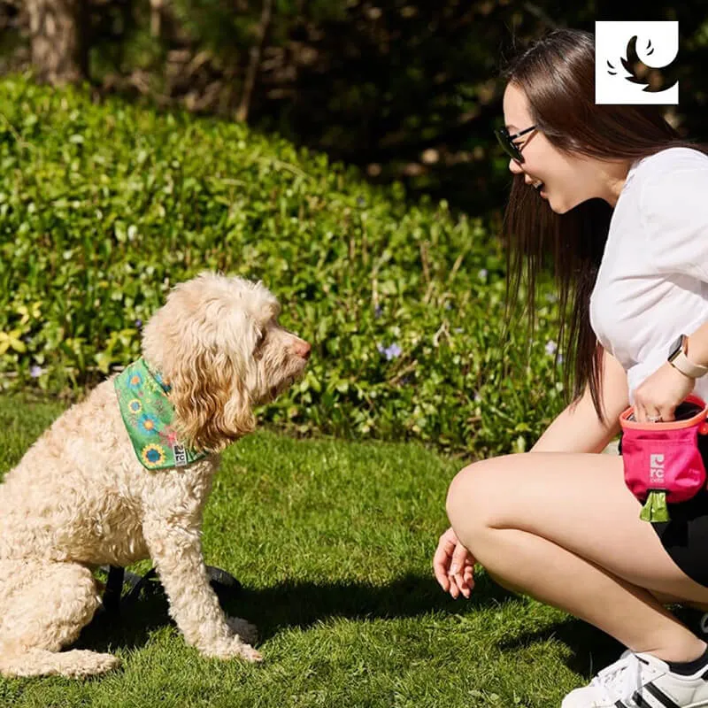 RC Pets Essentials Treat Bag