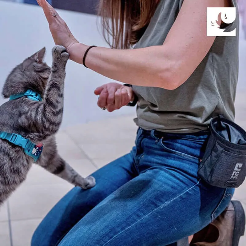 RC Pets Essentials Treat Bag