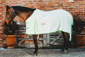 Showcraft Summer Ripstop Rug White